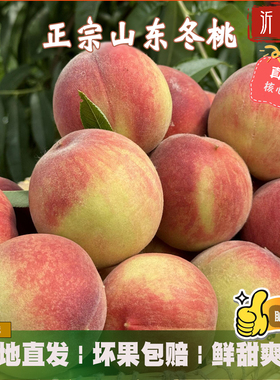 甜冬桃山东沂蒙蜜桃雪桃桃子新鲜毛桃现发孕妇水果脆甜冬桃产地