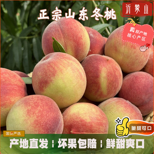 甜冬桃山东沂蒙蜜桃雪桃桃子