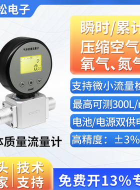 速发ASR奥松热式质量气体表量计流S21M6压缩空气氧气替代0F5706