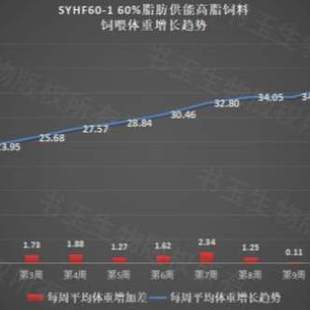 供能二型糖尿病高脂小鼠肥胖高糖脂肪造模实验脂肪肝模型饲料60%
