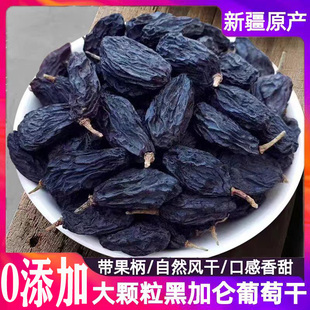 新疆黑加仑葡萄干特级超大无籽吐鲁番特产黑葡萄提子干黑美人干果
