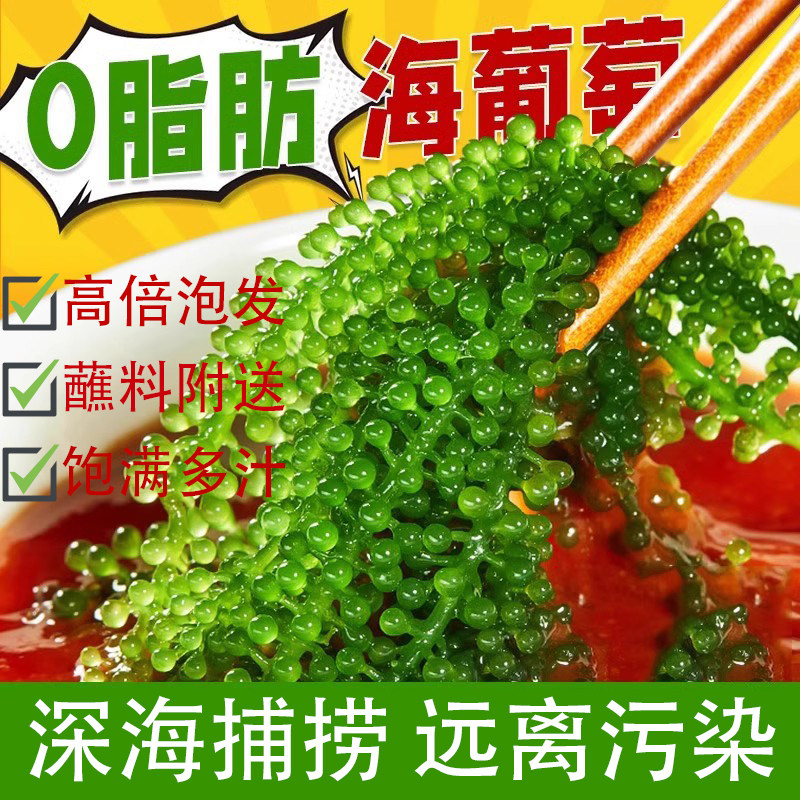 儿童海葡萄即食无添加开袋海草海带爆汁海葡萄健康网红裙带菜,零食/坚果/特产,海带零食,淘宝优惠券,粉丝福利购,淘宝优惠卷