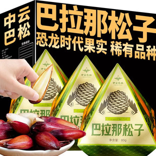 云南特产大松子巴拉那松子原味熟食拇指大松子大颗粒坚果礼盒送礼