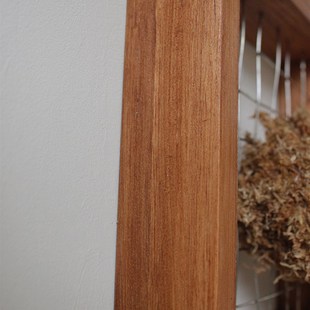 鹿角蕨定植板壁挂实木手工相框蕨类植物花盆挂板植物墙绿植好养护