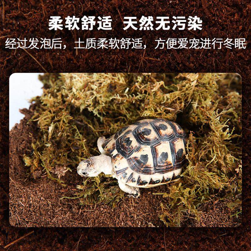新派宠物reptizoo乌龟黄缘椰土爬宠椰砖苔藓角蛙冬眠沙子保暖垫材,宠物/宠物食品及用品,爬宠缸/箱,淘宝优惠券,粉丝福利购,淘宝优惠卷