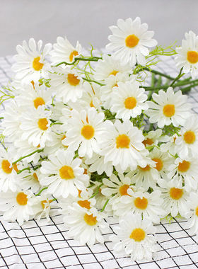 仿真小雏菊洋甘菊假花束5头荷兰菊波斯菊假花家居装饰摆放摄影