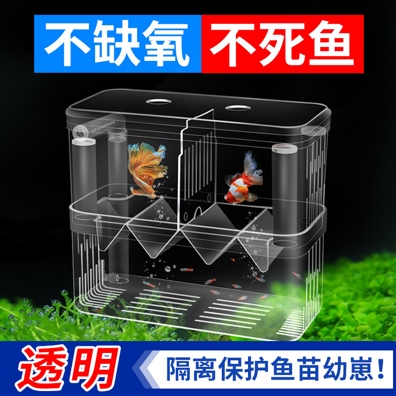 鱼缸双房隔离孵化产房增氧大号图片