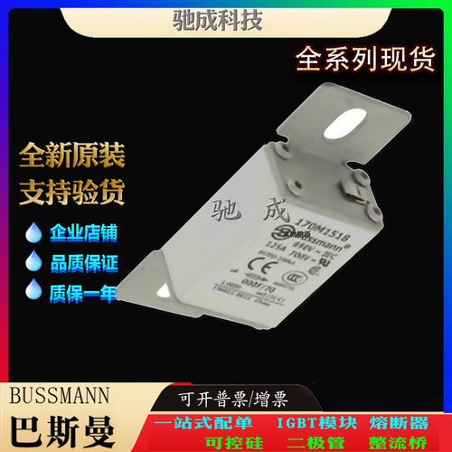 巴斯曼170M1488 170M1370 170M1371 厂家直供批发价优 紧凑熔断器