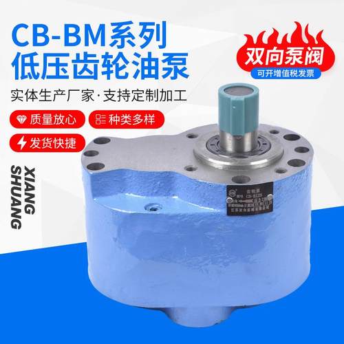 江苏齿轮泵CB-B80/CB-B100/CB-B125齿轮油泵液压泵稀油站油泵