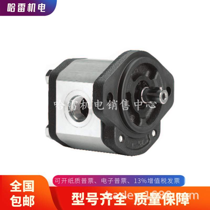 意大利马祖奇MARZOCCHI齿轮泵ALP1-D-20-P524A