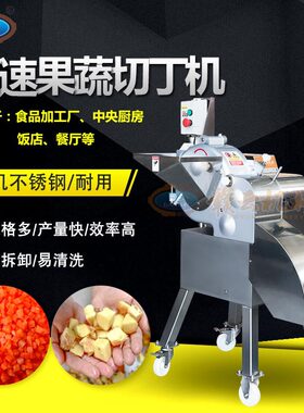 赣云高速切丁机对球茎类果菜进行切丁切条加工设备厂家直供新品