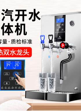 蒸汽开水机商用烧水机奶茶店自动蒸汽冷热水两用一体机开水器现货
