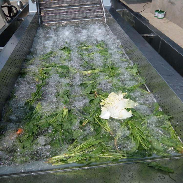 大型净菜清洗加工风干流水线叶类蔬菜清洗设备猕猴桃大枣清洗机器