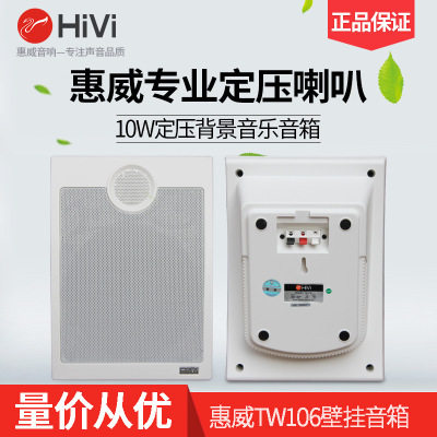Hivi/惠威TW106专业定压喇叭