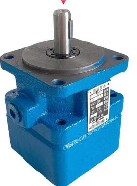 磨床叶片泵YB1-10/6/4/6.3/12/16/25/32/40/50/63/80/100液压油泵