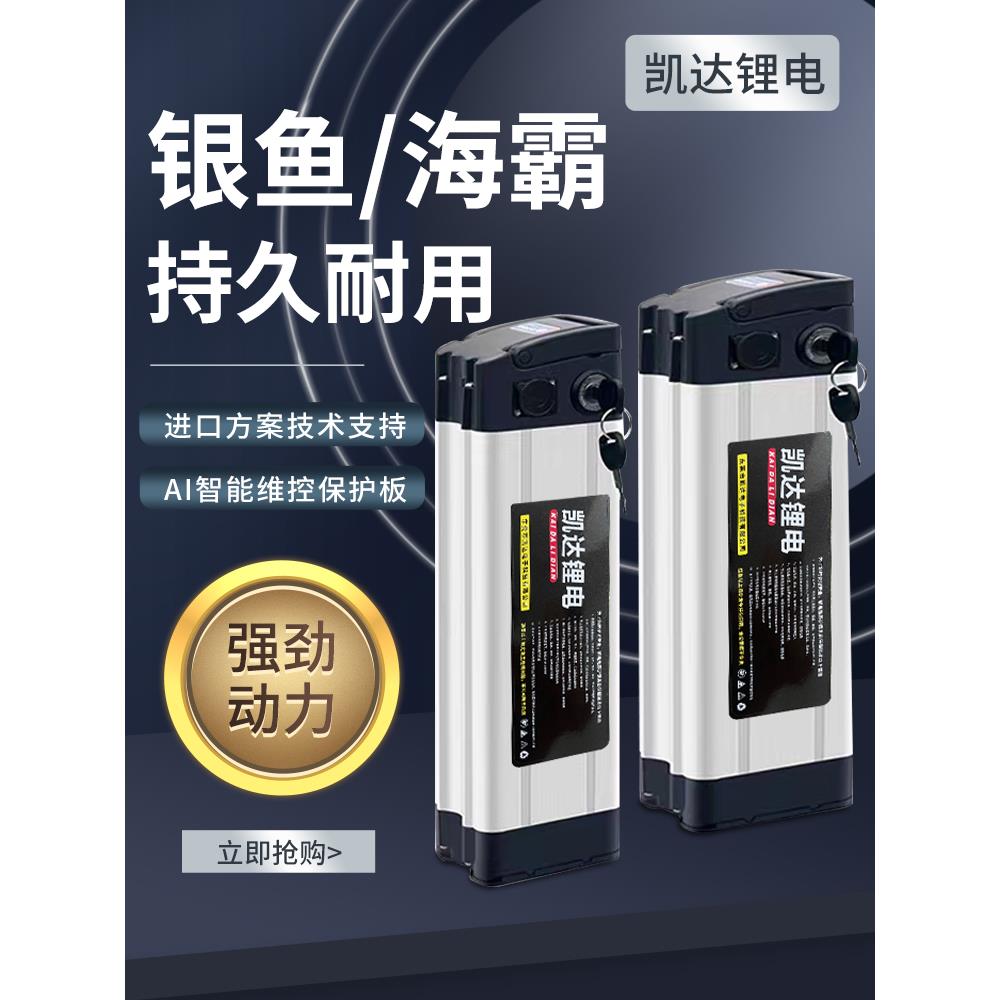 电动车锂电池48v20ah30ah代驾车外卖车折叠电动车电池60v电瓶36v