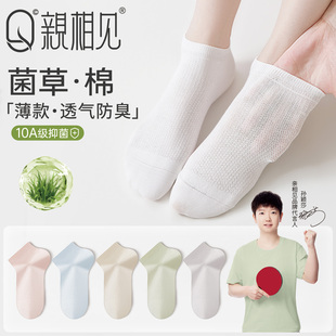 亲相见袜子女夏薄款船袜防滑不掉跟2026新款爆款菌草防臭女士短袜