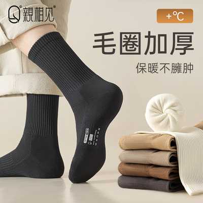 袜子男士纯棉保暖毛圈加厚中筒袜