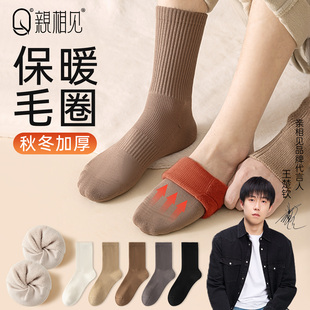 袜子纯棉中筒袜 保暖加绒加厚高筒毛圈袜男士 亲相见袜子男款 秋冬季