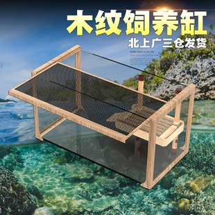 现货木纹乌龟缸带盖玻璃爬虫箱爬宠饲养缸水陆缸带浮晒台守宫角蛙