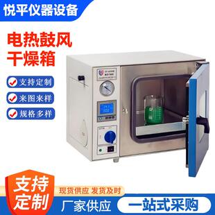 电热恒温鼓风干燥箱高温加热小型工业烤箱烘干机实验室烘箱