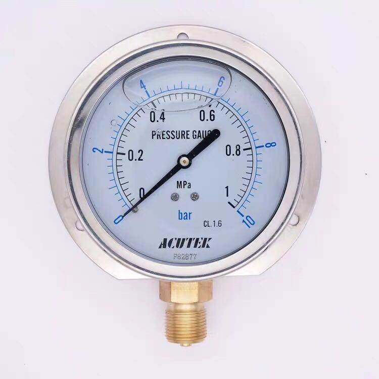 ACUTEK 径向带后边 抗震 船用耐震压力表 YN100T 1MPA M20*1.5