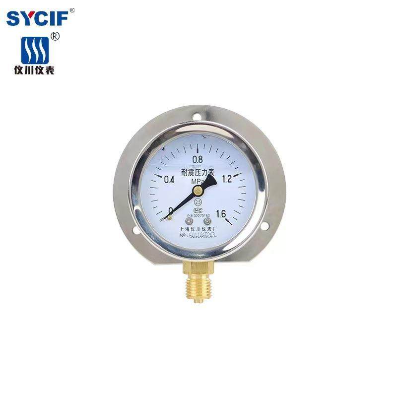 上海仪川船用耐震防震压力表凸装式YN-100T气压液压 径向带后边