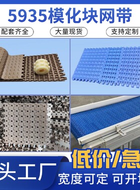 节距19.05的5935平板网带链圆孔输送带大圆孔网带配套链轮