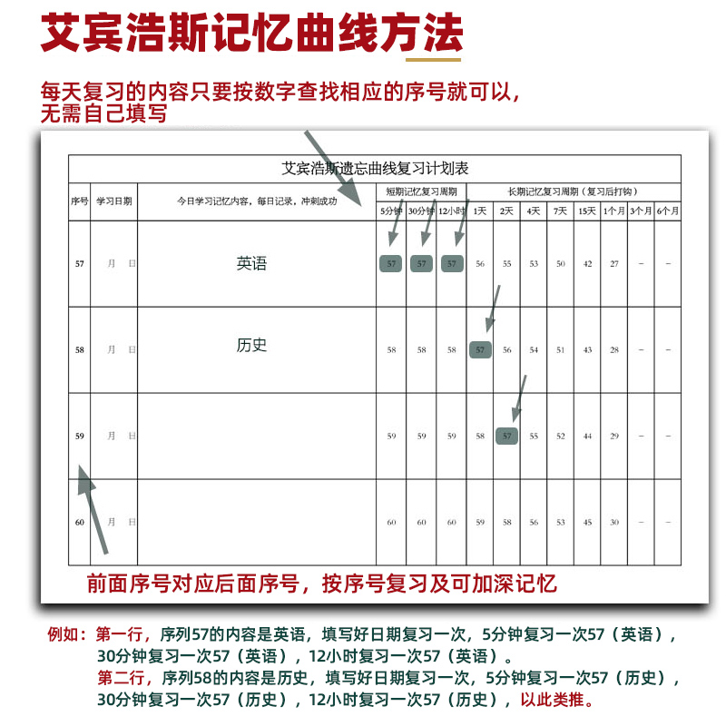 速发曲线记忆单词本艾宾浩斯遗忘曲线本a5通用a6英语单词本复习计