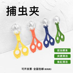 昆虫夹捕虫夹器活体昆虫蟋蟀亚面包虫大麦虫镊子鬃狮守宫夹便器材