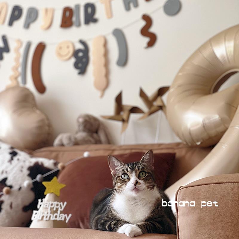 banana pet奶油森系宠物猫咪狗生日爱心数字气球卷卷拉旗拍照装饰