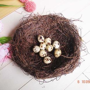 蛤蟆藤鹦鹉草窝鸟巢 藤拍摄道具家居挂件鸟窝鹩哥鸟巢新生儿鸟巢
