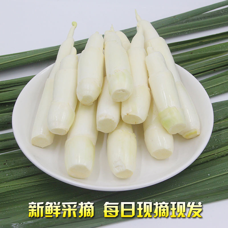 新鲜现摘农家茭白高笋纯天然月子其它