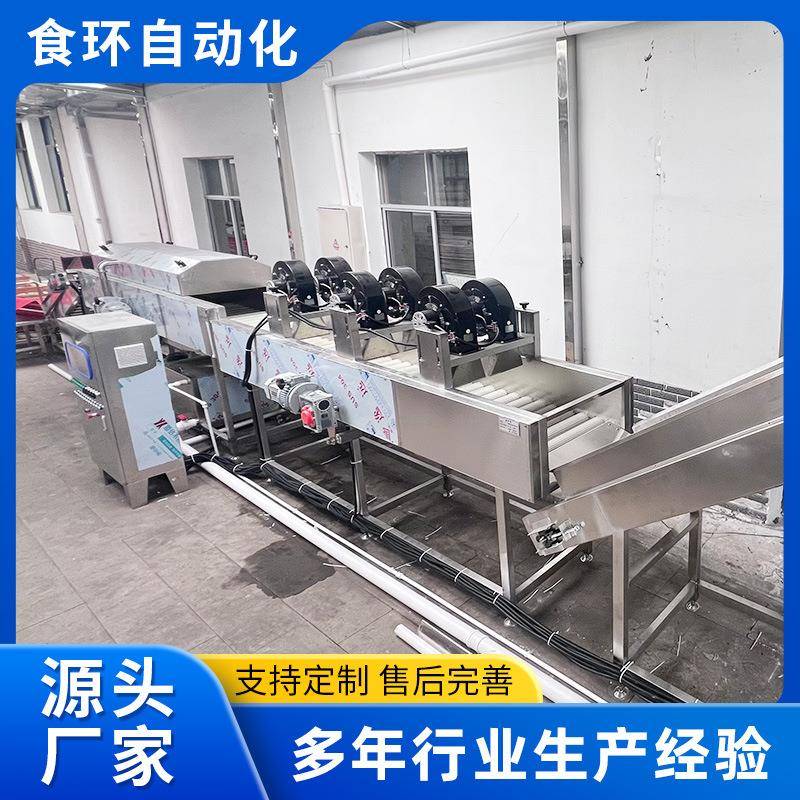 全自动重量分选机果蔬分选机火龙果重量分选机不锈钢分级机