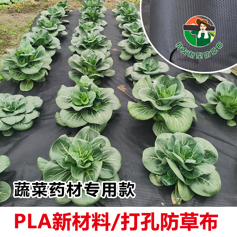 园丰一号防草布除草布用它不除草