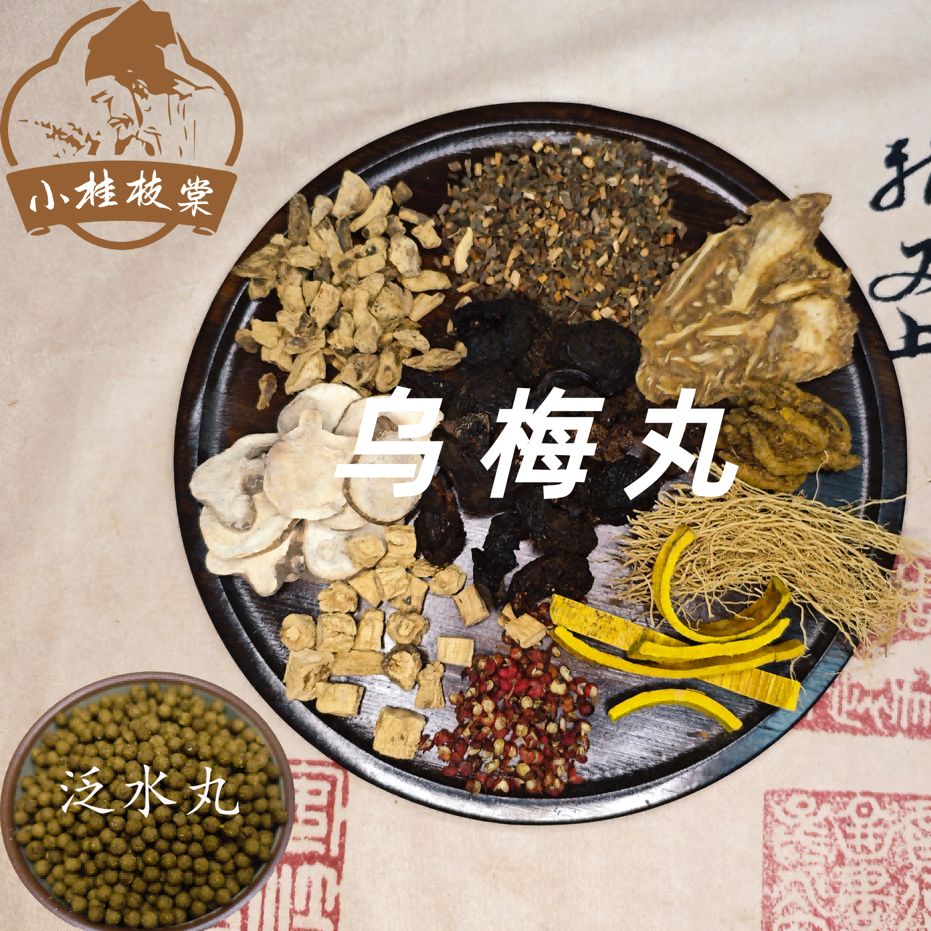 【买二送一】 乌梅丸 《伤寒论》丸240克包邮 倪海厦推荐