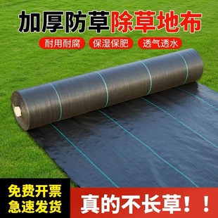 防草布地布除草布耐用果园果树遮草布地膜盖草布农用园艺地布隔草
