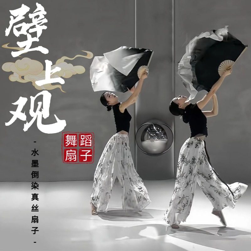 壁上观舞蹈扇子跳舞专用扇