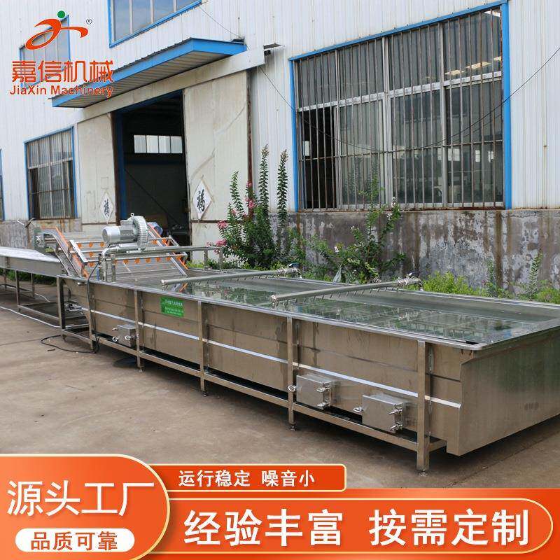 果蔬气泡清洗机菠菜小油菜高压喷淋清洗线去除农药去泥沙清洗机