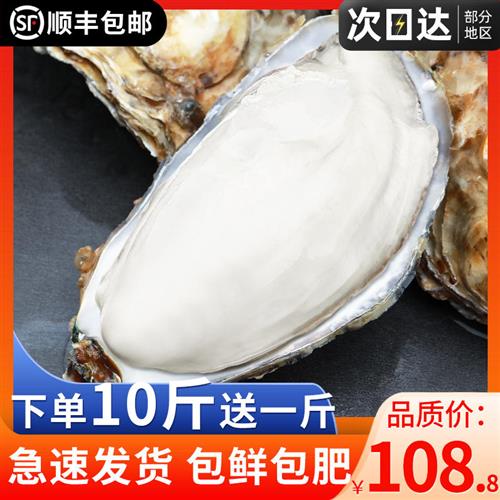 乳山生蚝鲜活牡蛎新鲜海鲜带箱10斤水产特大海蛎子商用顺丰