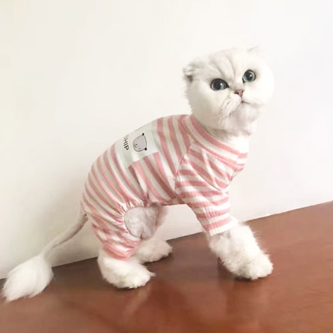 猫咪衣服四脚防掉毛睡衣夏季款英短蓝猫布偶猫幼猫宠物狗狗家居服