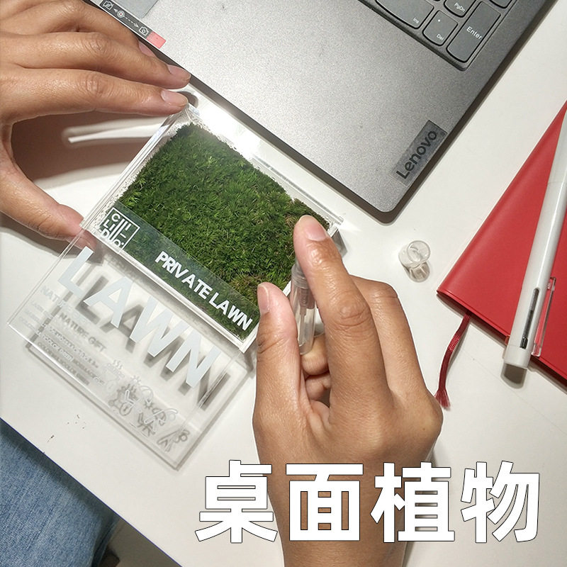 速发私人草坪 微公室藓苔办景观植物桌面生态微缩青苔摆件小礼物