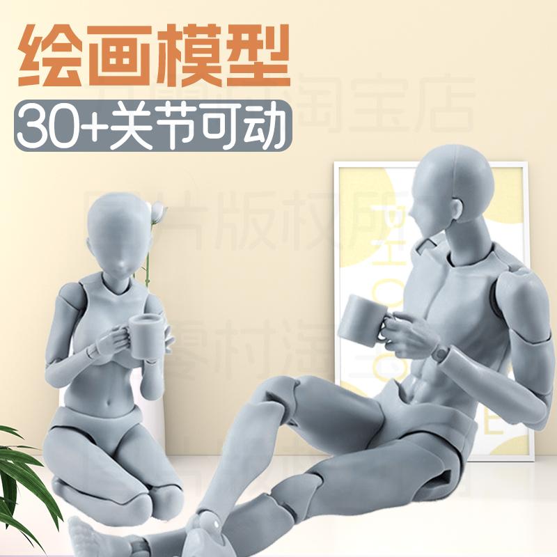 关节可动素体男女关节人