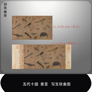 五代十国黄荃写生珍禽图高清微喷工笔花鸟画复制品临摹画稿装饰画