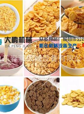 DP100-V早餐谷物 玉米片 饼干 粥生产线 膨化食品设备 济南大鹏