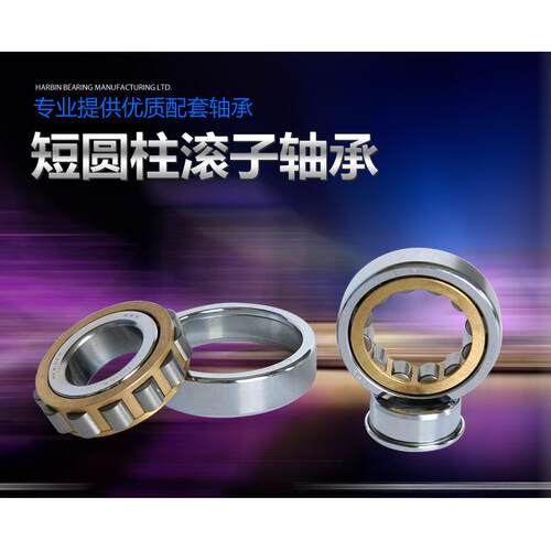 人本NJ2310 EM/C4/C3圆柱滚子轴承 42610H 内径 50mm品牌直销