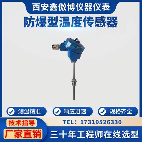 WZPK-240防爆热电阻热电偶PT100防爆温度传感器温度变送器4-20ma