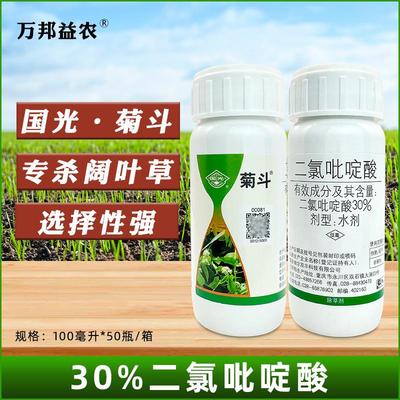 国光菊斗二氯吡啶酸高羊茅禾本科草坪除三叶草苜蓿阔叶杂草除草剂