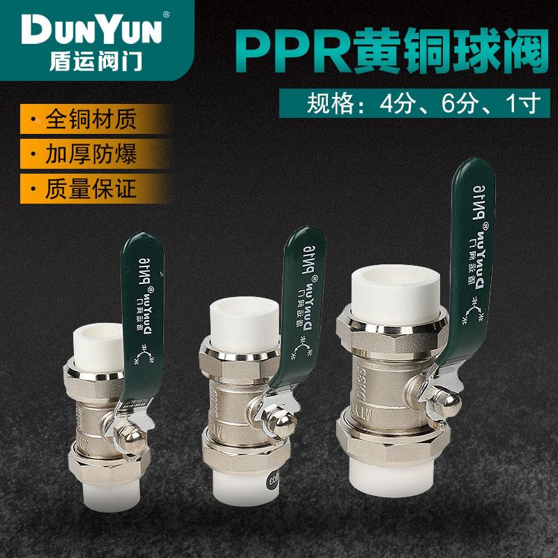 DYTM盾运全铜PPR双活接焊接钢柄4分6分1寸球阀DN20DN25DN32热熔阀