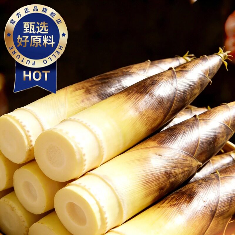 春笋新鲜现挖竹笋临安天目雷笋鲜笋腌笃鲜雷竹笋油焖笋春正宗雷笋